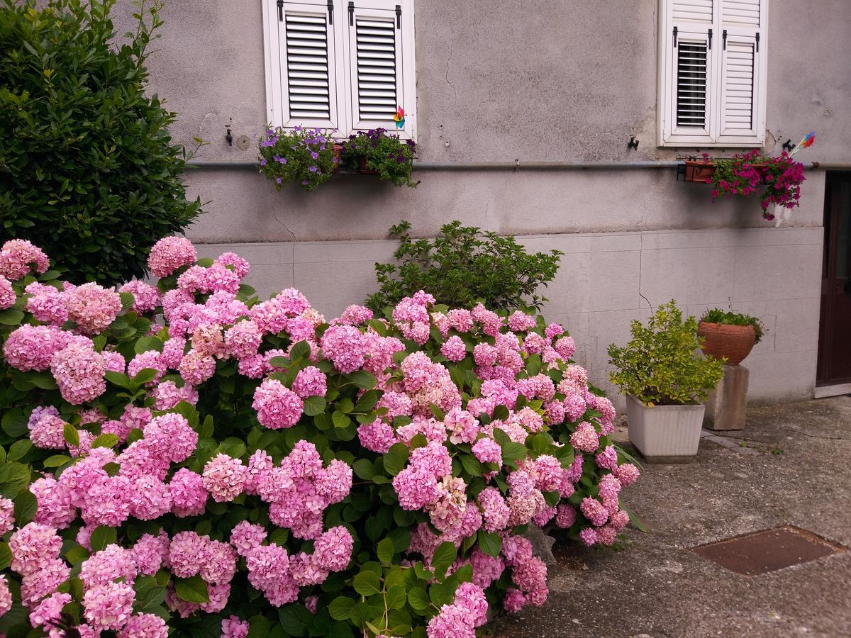 A Casa Di Silvy Villa Trieste Eksteriør bilde